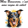 Beauceron rayon de soleil