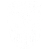 Beard Quote Bearded Men