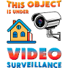 Object monitoring