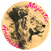 Majestic Animals: Royal Lion