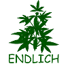 Cannabis Legal