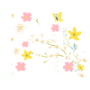 cherry blossom,flowers,blossom,floral,butterfly