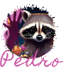 raton laveur,graffiti,gris, aquarelle,fleurs,pedro