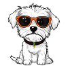 Chien avec des lunettes.
