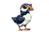 puffin awesome, puffin