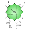 Chlorophyll