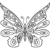 Black Butterfly silhouette icon isolated.