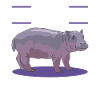 Hippopotame Bébé hippopotame Cadeau hippopotame