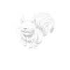 Squirrel Lover