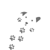 Depression Healing Angel Design