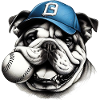 Dog Bulldog Baseball
