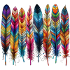 Feathers