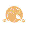 Hunderettung Hunderetter