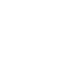 Democracy Joke Democratic Elections