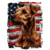 Irish Terrier America Usa