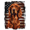 Irish Setter America Usa