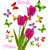 butterfly nature.