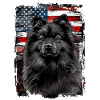 Keeshond America Usa