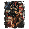 Malinois America USA