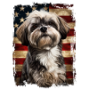 Lhassa Apso Amérique États-Unis