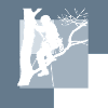 Tree Climbing Climbers Crampons