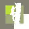 Tree Climbing Climb