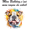 Bulldog rayon de soleil