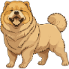 Chow Chow Chien Animal