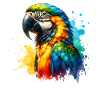 Parrot