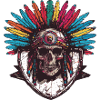 Indian Skull