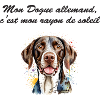 Dogue allemand rayon de soleil