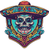 Mexican Skull Sombrero