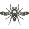 Fly Fly