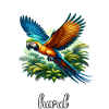 Funny Parrot Sayings