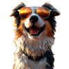 Australian Shepherd Hunde Liebhaber Süßer Aussie