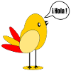 SPAIN COUNTRY FLAG SPANISH BIRD
