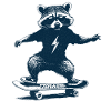 Skating Raccoon
