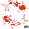 Japanese Koi Fish