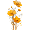Fleurs