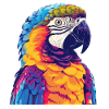 Parrot, bird, tropical, summer, gift