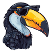 Toucan, Sunglasses, Summer, Gift