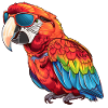 Parrot, Bird, Tropical, Sunglasses, Summer