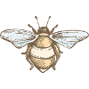 Abeeille