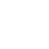 No nazis