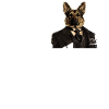 German Shepherd Dad