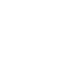 guitarist cat guitar player