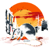 Opossum