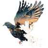 pigeon pigeon colombophile volant