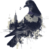 pigeon pigeon colombophile volant
