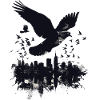 pigeon pigeon colombophile volant